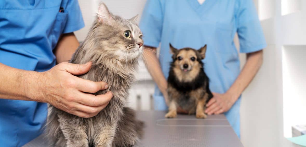 Clinic for payment