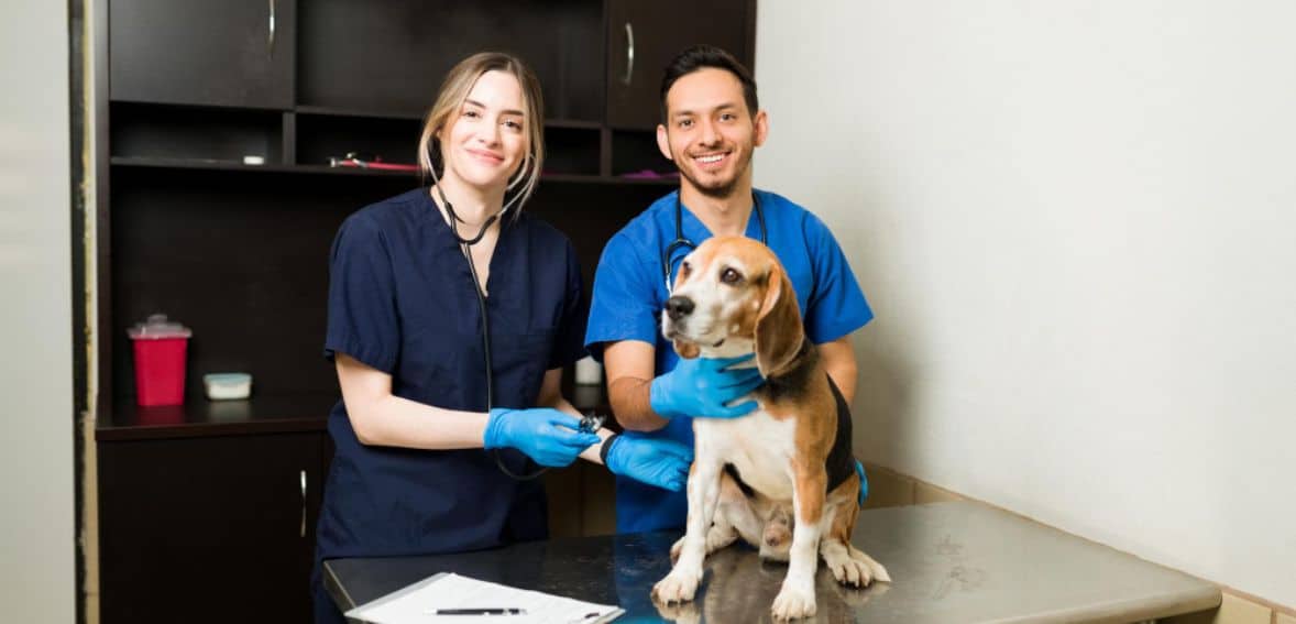 Vet clinic